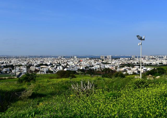 迦太基，腓尼基人和罗马人兴建的古代城市（北非三国游/突2）