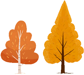 土右旗的秋天不用买，弯腰就能“捡”到治愈！