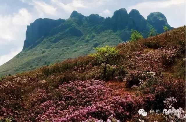 对不起！阜新，向全中国道歉！