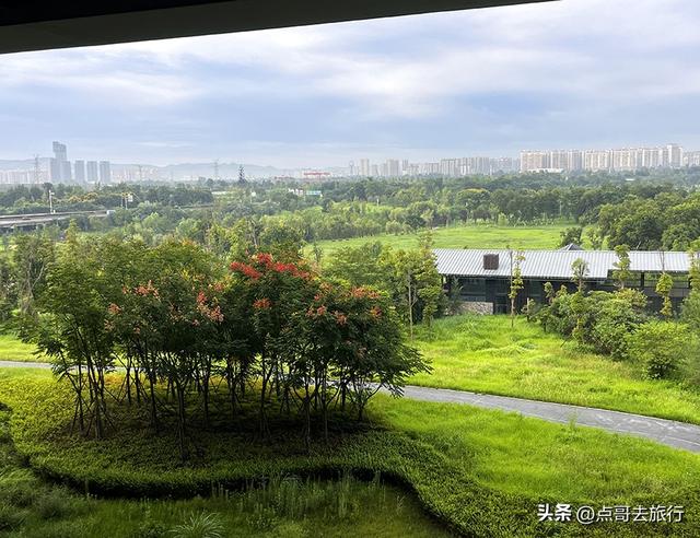 成都最近的原野公园，超级惊艳，一个湖风景就是王者，公交直达！