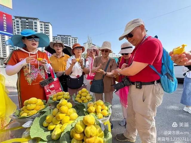 参观中国无花果之乡 想你的风吹到了阿孜汗 北京开国将军后代合唱团