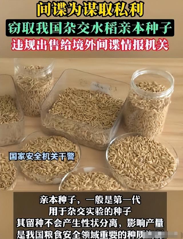 央媒通报！又一间谍行为曝光，作案手法阴险，粮食安全受威胁