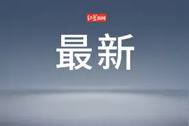 加沙停火！中方表态：希望得到有效执行图片