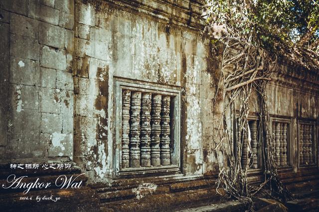 柬埔寨免签冲这处！崩密列的丛林废墟，比吴哥窟更野更出片