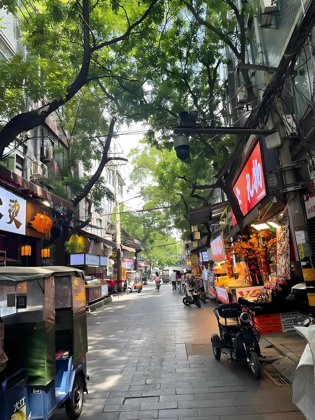 西安亲子三日游:穿越历史长河的知识之旅