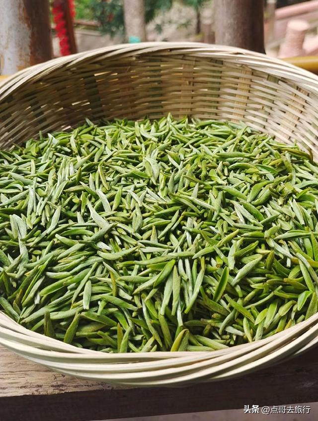 成都五大最美艺术村落，成都人私藏，都不要门票，冷门却超级惊艳