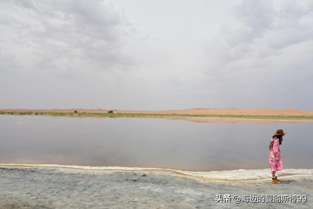 海边游记｜沙海狂飙与绿洲寻踪：内蒙古腾格里沙漠一日“历险记”
