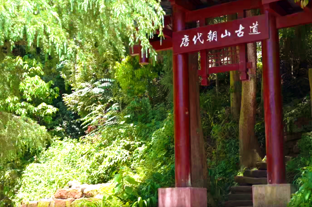 初秋徒步天台山，解锁山林漫溢的浪漫~
