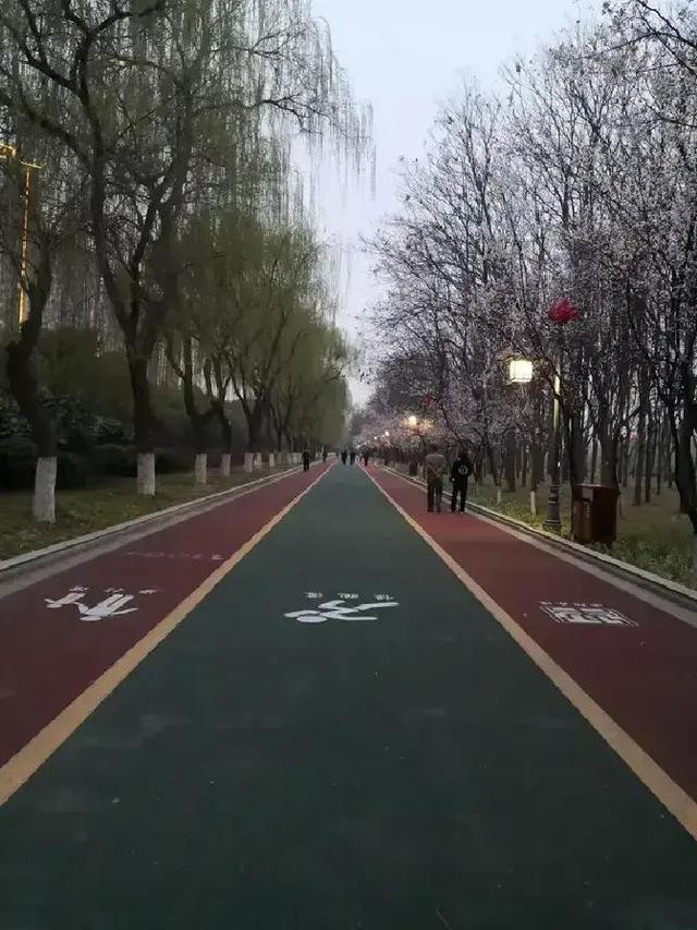 【河南“黑马	”洛阳：郑州没预料	，开封没料到！】