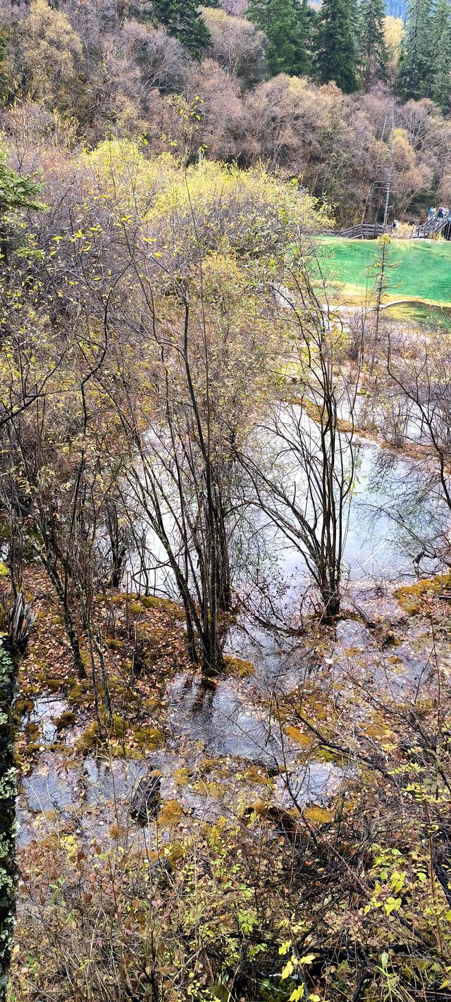 神仙池（一）竖幅