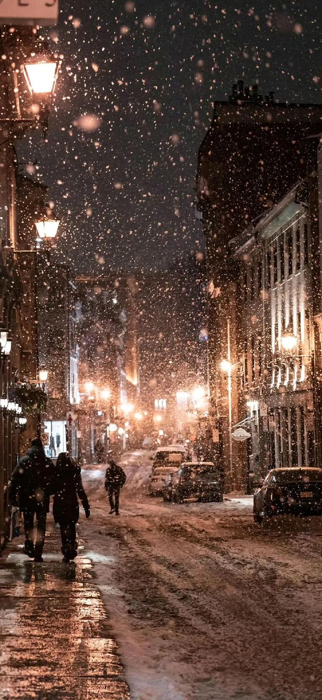 冬至快乐～盼一场大雪，而后春归