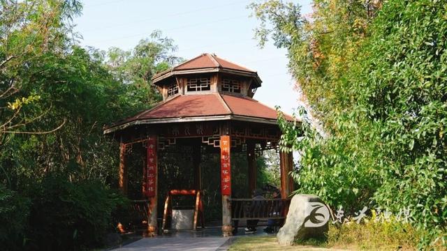 来东兴花萼湿地，感受城市的绿韵时光