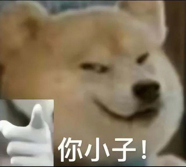 华为的10100mAh新机，把所有网友都整不会了