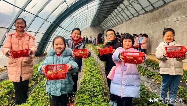 庆农业丰收 享美好生活丨魅力乡村中秋游——中台镇康家沟村