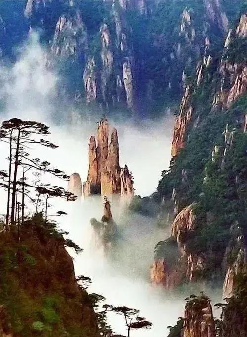 云海日出奇观，仙境里的黄山，太美了！