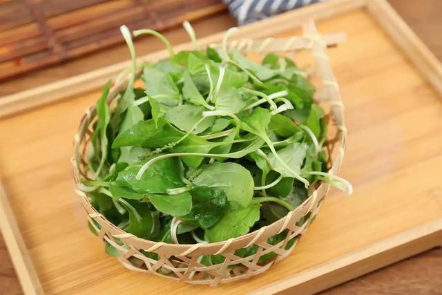 野菜美味背后的真相,苦菜荠菜小心致癌,被警告不再贪吃
