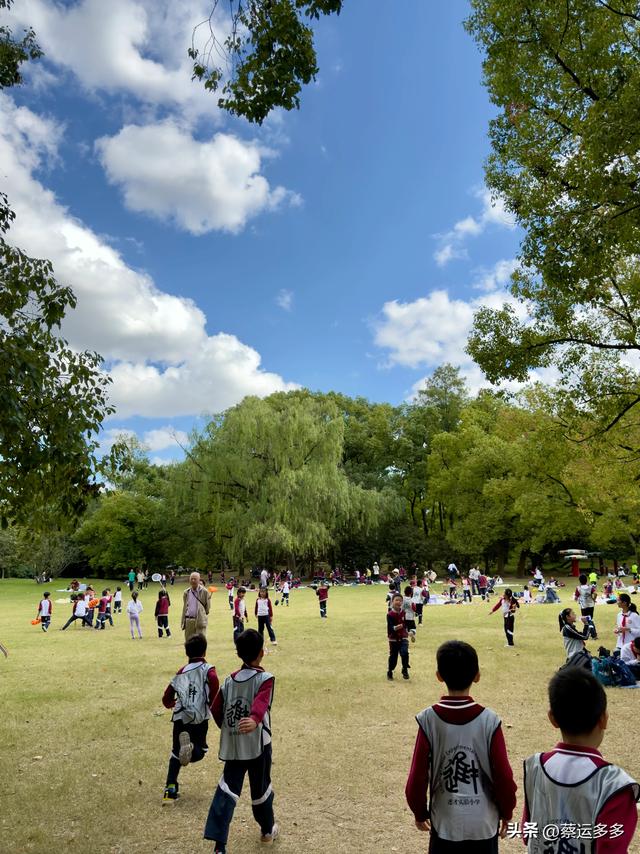 重阳节，上海赏秋之美
