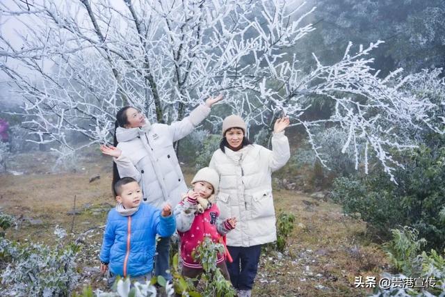 平天山美成了银装素裹的童话世界！贵港人：冷到发抖也要去