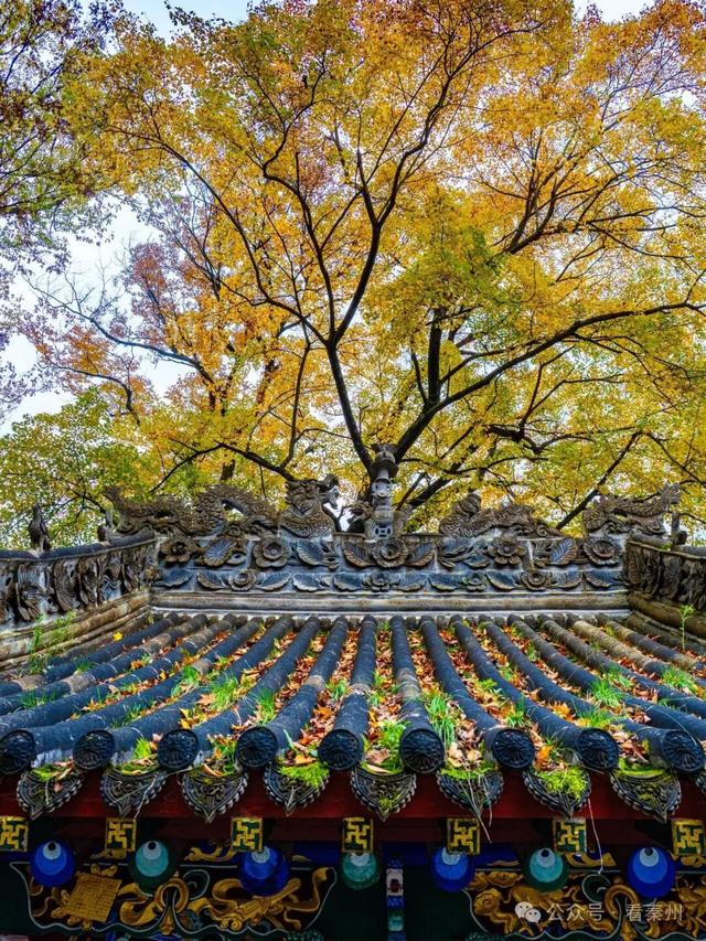 镜瞰秦州·悦秋