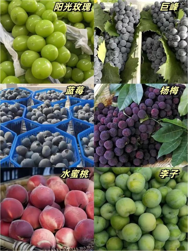 这里是西昌！