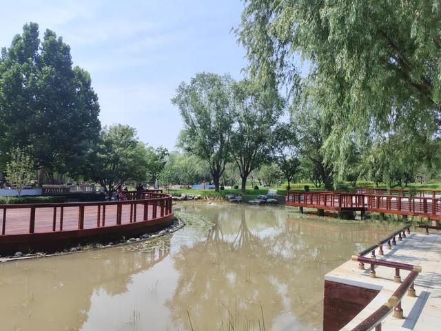 丰台新添休闲好去处!遛娃、健身、赏景一站齐!