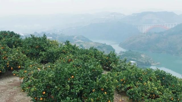 长江边上最魔幻的山城，重庆市区出发2小时直达，烤鱼火了六千年