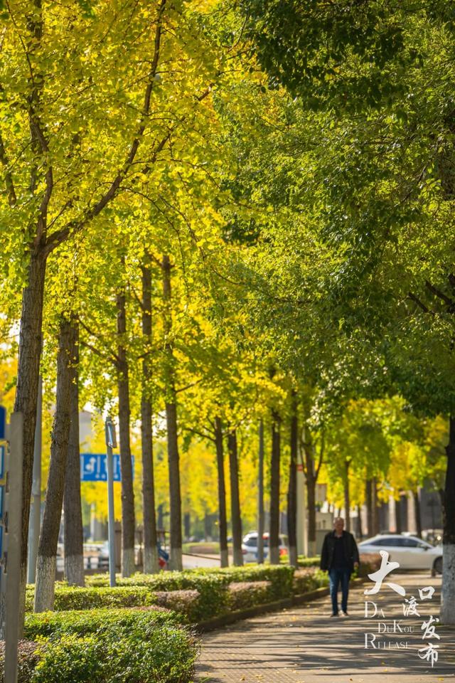 周末不忙，去趟大渡口