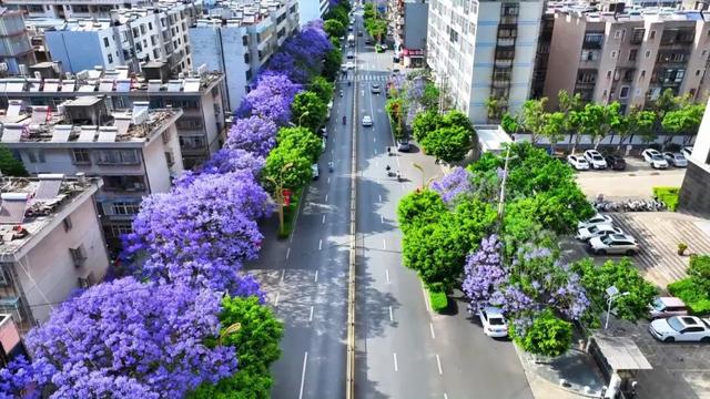 大理“金色童话”背后藏“秘密”