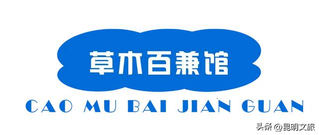 初冬氛围感出片计划，走起！昆明这份打卡攻略速速收藏→