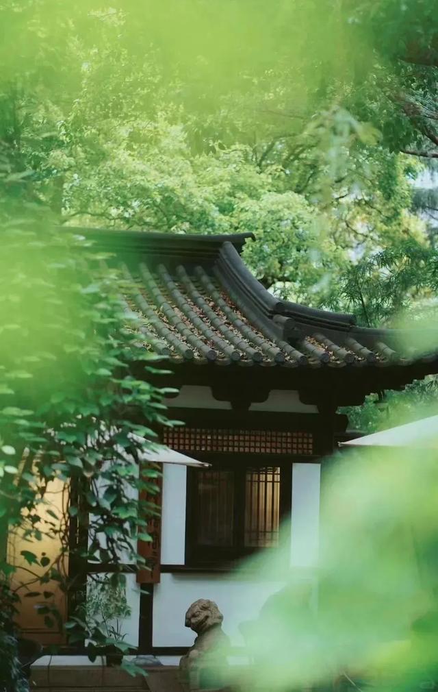 上海解锁“千园之城”,遛娃拍照吸氧圣地,哪个是你最爱?
