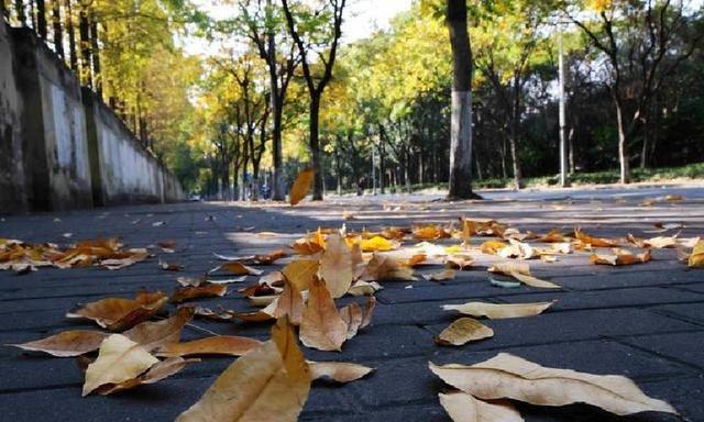 如果您欠几十万就崩溃？听完这段话您会马上清醒！