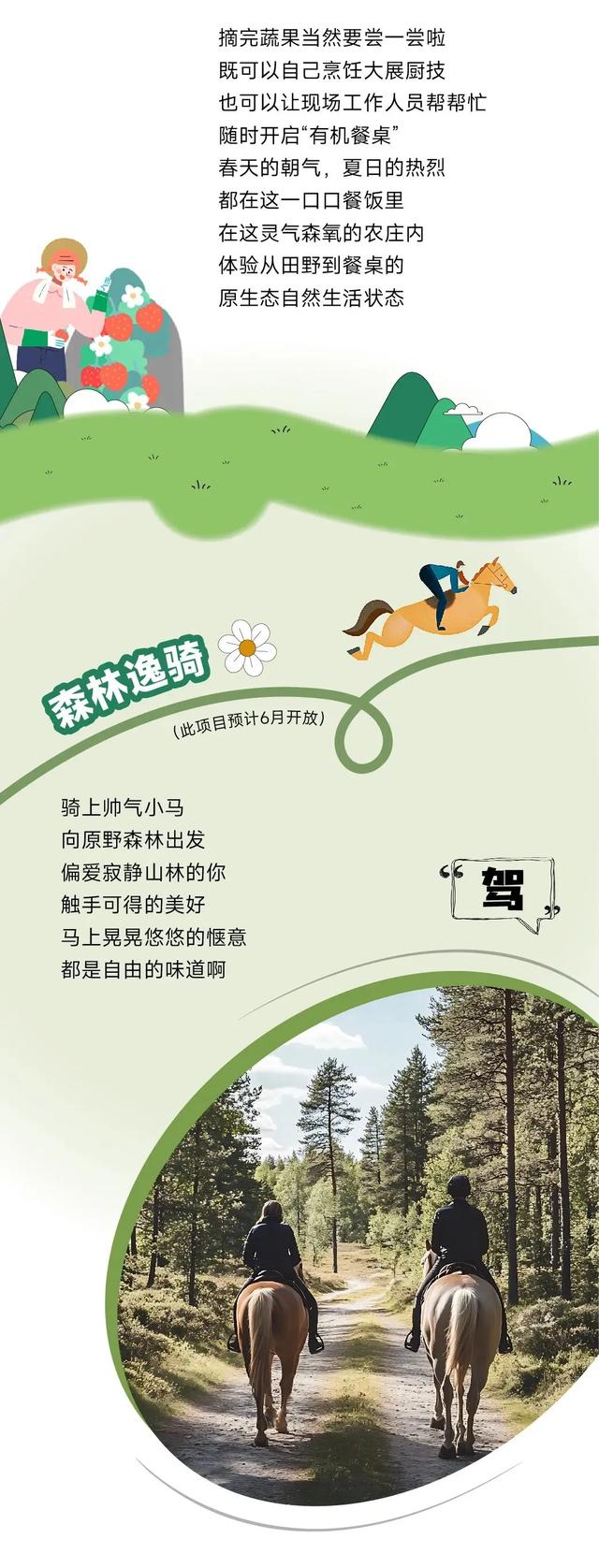 乘着高铁游白山 | “百区百景”打卡攻略之长白山华美胜地