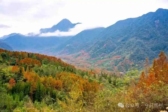 漫山彩林，琉璃坝的色彩美学