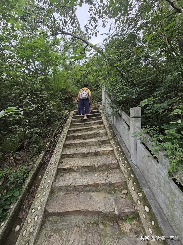 大山深处的路，悠长的，漫长的，斜长的，直长的，无路不长！