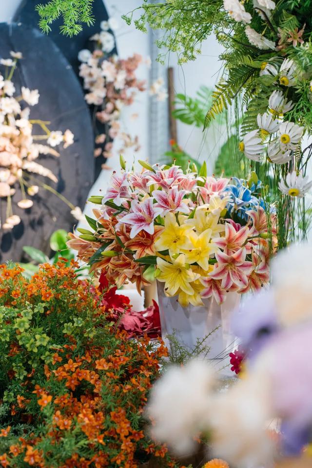 最长春节假期来黄陂！9天撒欢不重样