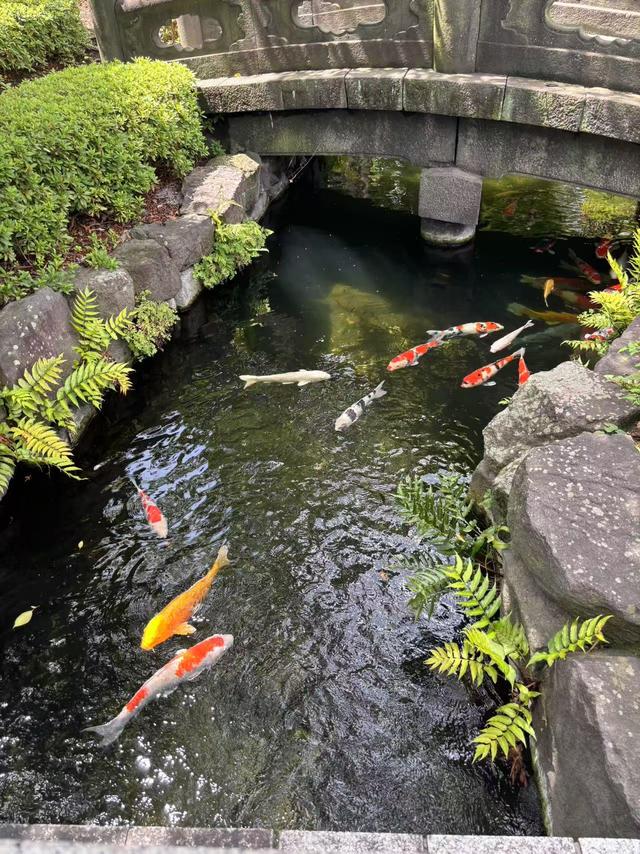 逛吃千年浅草寺，偶遇云端后的富士山，珍惜你的每一次旅行吧