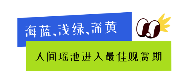 没P图，黄龙秋天就长这样！🤩