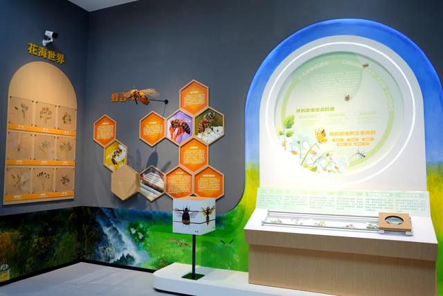 打卡新地标!来汉中这里,开启一场自然之旅~