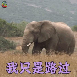 pink是粉色，lady是女士，难道pink lady是“粉红女郎”吗？