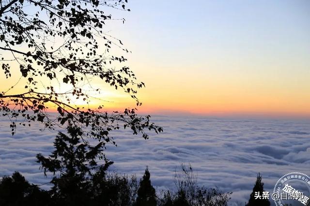 阿里山迎曙光，搭观日列车 送日落、迎曙光、赏美景，胜地一次看