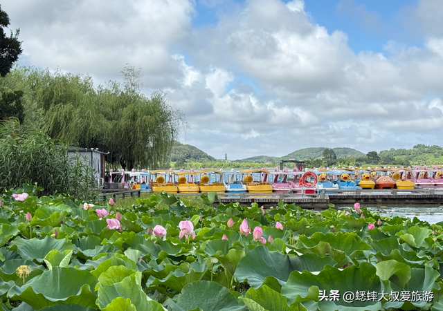 这个这江浙沪名湖太棒了，坐拥“西湖+太子湾”意境，超适合穷游