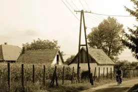 左青龙右白虎，前朱雀后玄武，农村人曾用来治疾病，啥道理？图片