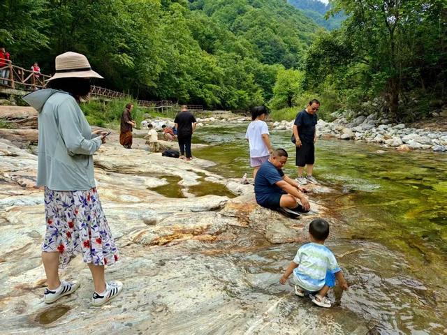 入伏了！黄柏塬带你走进19℃的夏天，云雾缭绕的山野避暑秘境