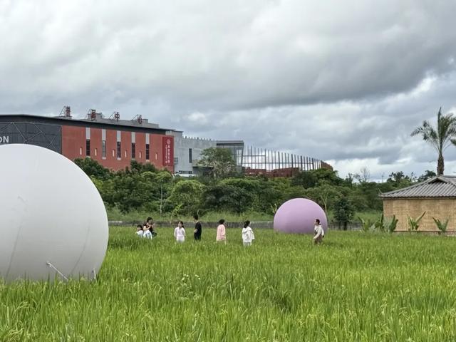 从“吃饱”到“吃好”——“纯萃普洱”的探寻本真之旅