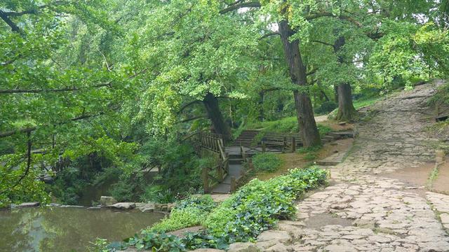 盘州市妥乐古银杏景区：绿色氧吧引来众多避暑游客