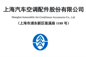 IPO定价14.23元，汽车空调管路生产商，上海汽配申购解读图片