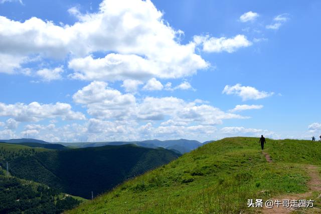 河北麻田岭（上）：绿野铺毡接云影、风轮伴路探山魂