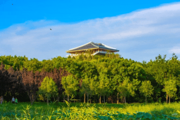 一起来跌进丰台毛茸茸的世界吧！