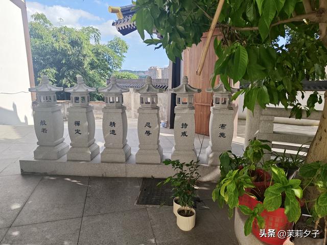福鼎市区一日游：从白茶发源地到市井小吃赏唐风建筑品山海韵味