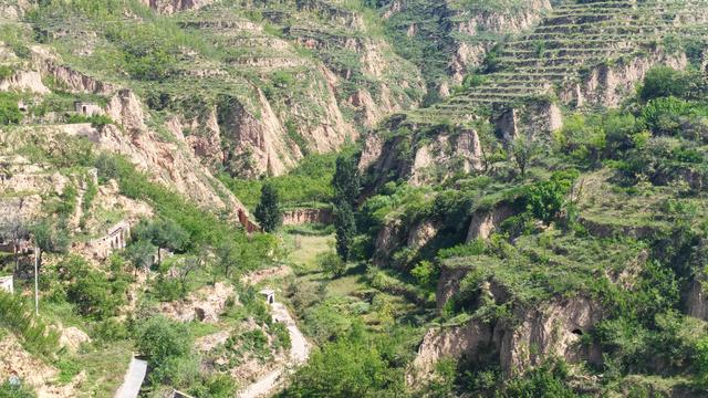 山西深度游—吕梁碛口李家山村